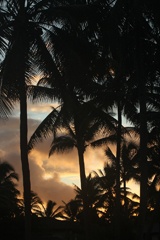 IMG_2384a